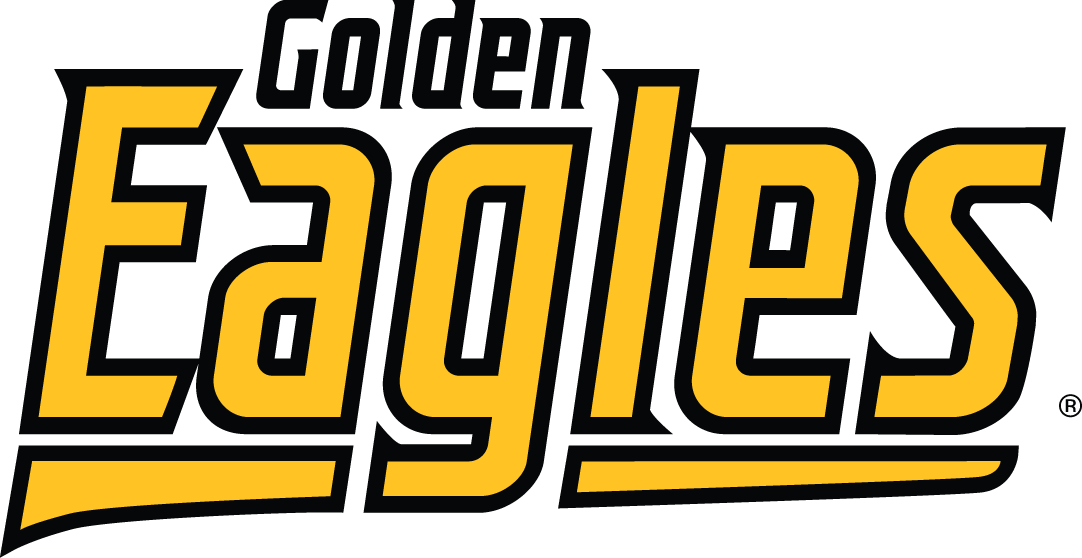 Southern Miss Golden Eagles 2003-Pres Wordmark Logo diy iron on heat transfer